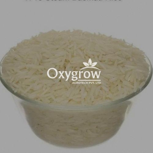 Organic 1718 Steam Sella Basmati Rice, Variety : Long Grain for Cooking