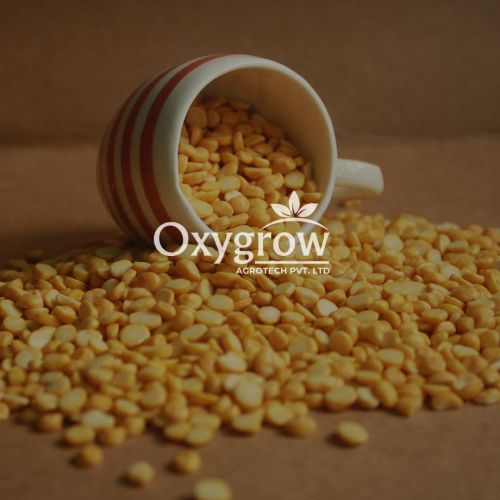 Hard Organic Chana Dal for Cooking