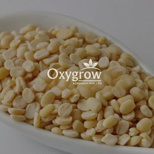 Hard Organic Urad Dal, Certification : FSSAI Certified for Cooking