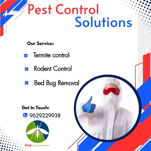 Termite Control Services