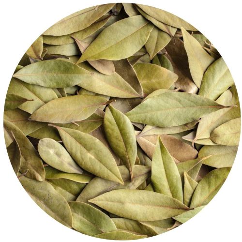 Organic Bay Leaves, Color : Green Raw, Grade Standard : Food Grade