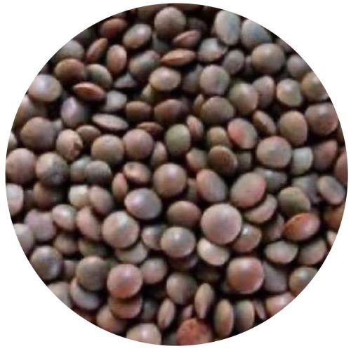 Black Masoor Dal, Certification : FSSAI for Cooking