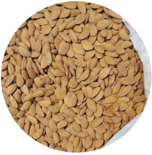 Hard Raw Independent Almond Nuts, Color : Brown, Taste : Light Sweet