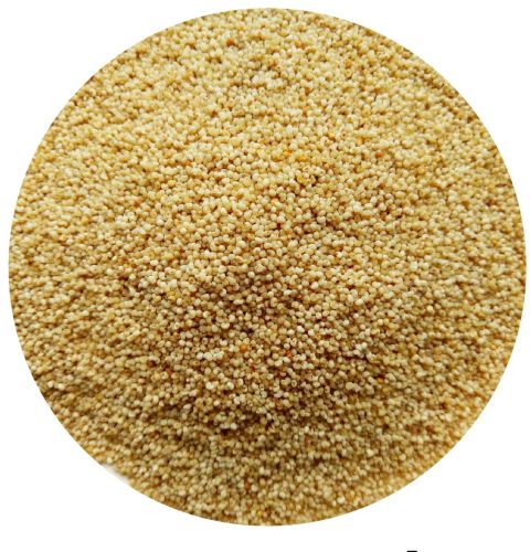 Organic Poppy Seeds, Color : Creamy Raw