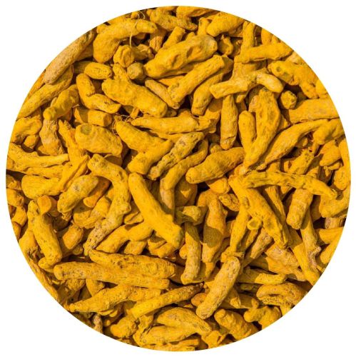 Organic Turmeric Finger, Color : Yellow Raw