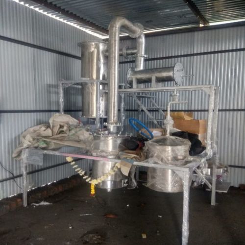 Daru Haldi Extract Plant, Color : Silver for Medicinal Purposes