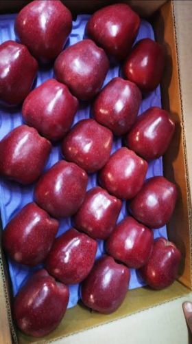 Gowhar Natural Kashmir Red Delicious Apple, Packaging Size : 15Kg