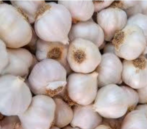 Fresh garlic, Color : CREAMY for cooking