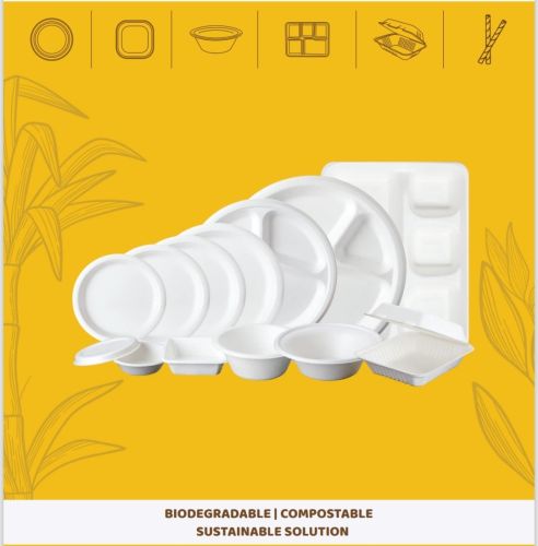 Bagasse Disposable Plate, Color : Natural White