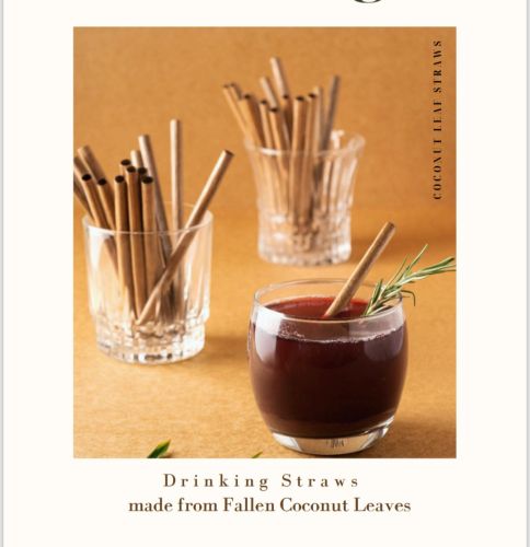 Coconut Leaf Straws, Certification : ISO 9001:2008