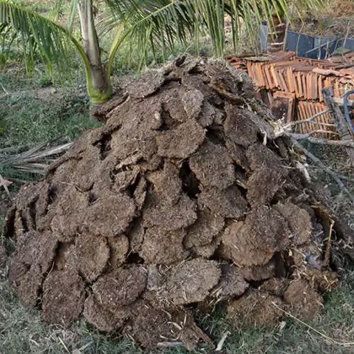Cow dung, Form : Cake for Religious, Construction, Hawan, Pooja