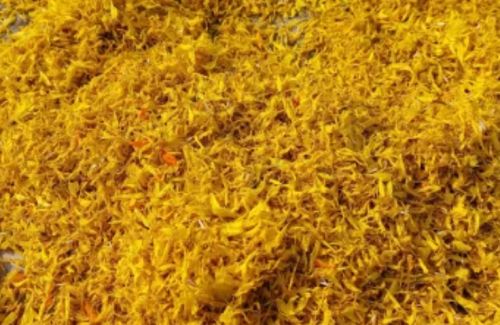 Common Dried Marigold Flower, Color : Yellow, Form : Double Bloom