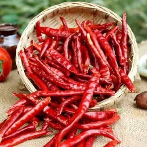 Organic Teja Dried Red Chilli Food Grade for Cooking