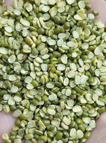Sourav Traders Natural Moong Dal, Packaging Size : 25Kg, 50Kg