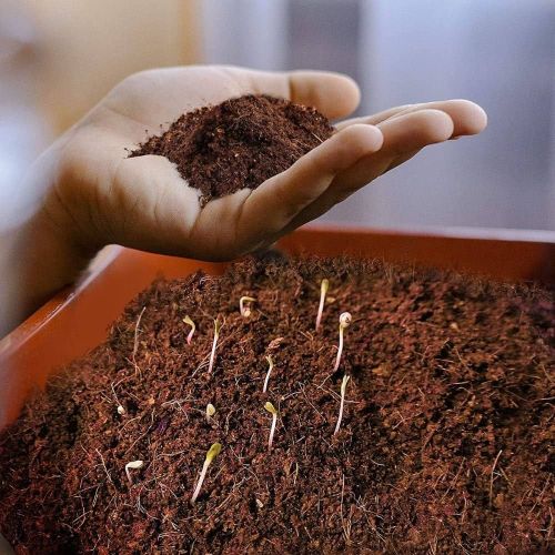 Low EC Coco Peat Powder, Color : Brown, Brand Name : GK Organics