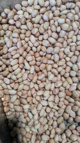 Java Peanuts, Color : Brown Medium for Snacking