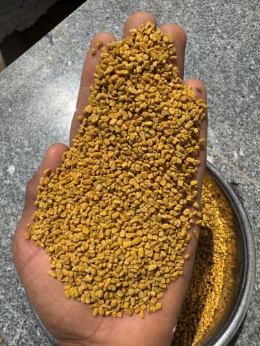 Natural Yellow Fenugreek Seeds, Packaging Size : 5-25kg 9%
