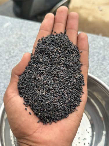 Food Grade Black Hybrid Sesame Seeds, Packaging Size : 25-50kg 9%