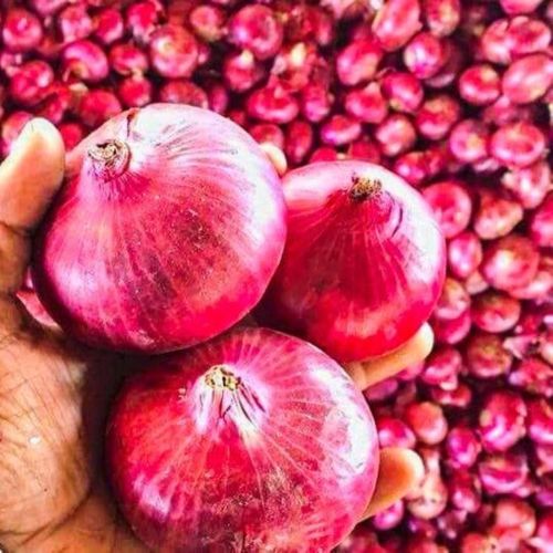 Fresh Nasik Red Onion, Packaging Size : 25-50kg Gunny Bag for Cooking