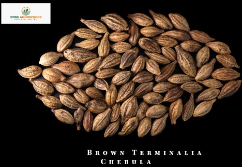 Common Natural Brown Terminalia Chebula, Brand Name : Spdk Agrosphere