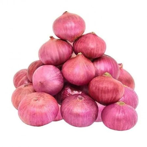 Natural fresh red onion, Form : Whole for Cooking, Food