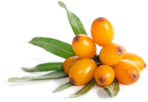 Sea Buckthorn Berry, Color : Orange, Packaging Type : Plastic Bag