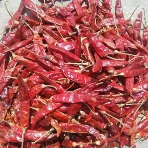 Organic Guntur Dried Red Chilli, Taste : Spicy for Cooking