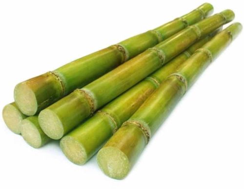 Green Natural A Grade Fresh Sugarcane, Packaging Type : Loose