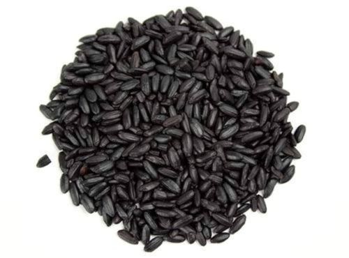 Natural Black Paddy Seeds, Packaging Size : 25-50kg