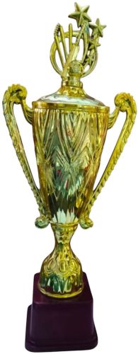 Plain Polished Fibre Sports Cups, Brand Name : ZH-210