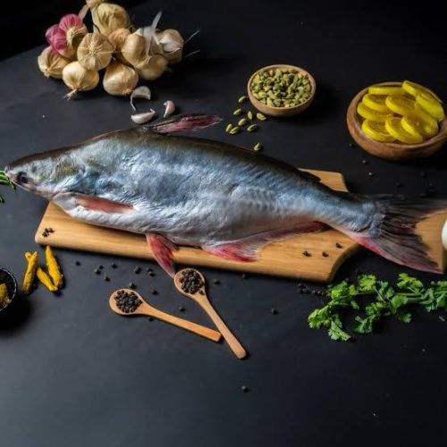 Basa Fish for Cooking
