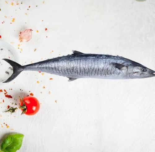 Fresh King Fish, Packaging Type : Thermacol Box for Cooking