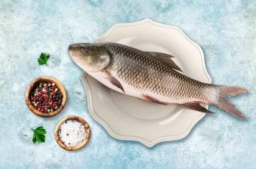 Fresh Rohu Fish, Packaging Type : Vacuum-sealed for Cooking