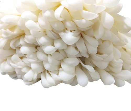 Plain Medical Latex Gloves Free, Gender : Unisex