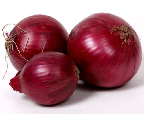 Fresh Red Onion, Packaging Size : 5kg Gunny Bag For Cooking