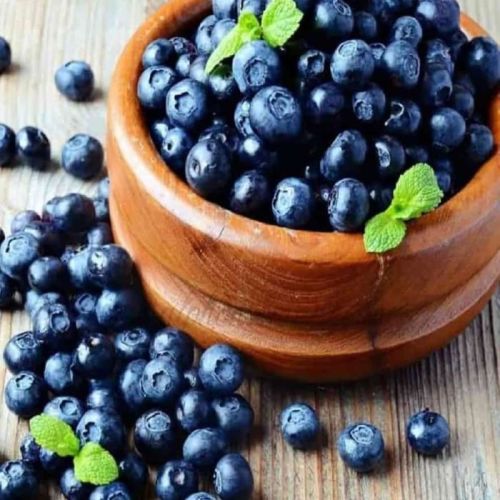 Organic Fresh Blueberry, Shape : Round, Taste : Sweet