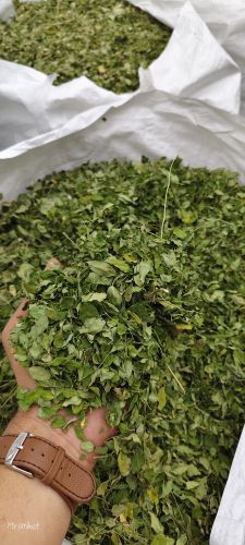 Moringa Dried Leaves for Ayurvedic, Medicine, Cooking