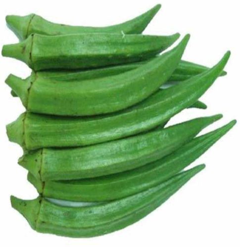 Green A Grade Fresh Okra, Packaging Size : 5Kg, 10Kg, 25Kg, 50Kg