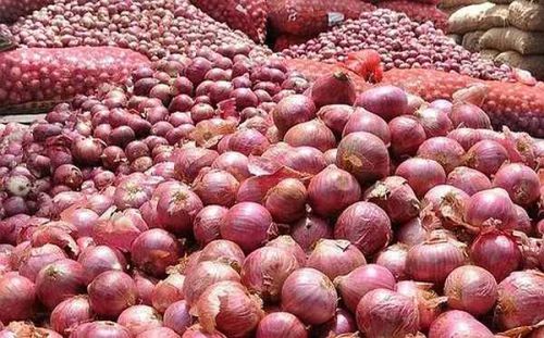 A Grade Maharashtra Fresh Red Onion Medium To Large