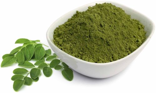A Grade Moringa Powder, Color : Green, Packaging Type : Bag