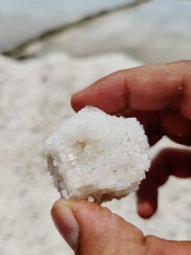 White Crystal Salt, Packaging Size : 25kg 40kg, 50kg, Purity : 100%