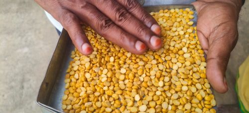 Chana Dall, Brand Name : Ponext Brand With Veera Name