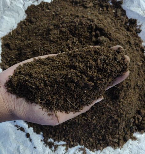 Brown Cow Dung Manure, Form : Powder 25-50kg PP Bags