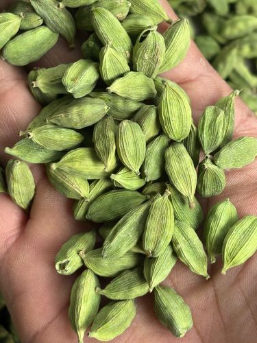 Organic green cardamom