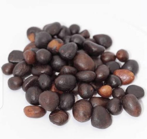 Palm Kernel, Color : Brown, Form : Solid