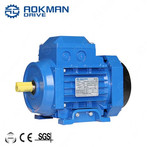 Polished Single Phase Electric Flange Motor, Shape : Cylindrical