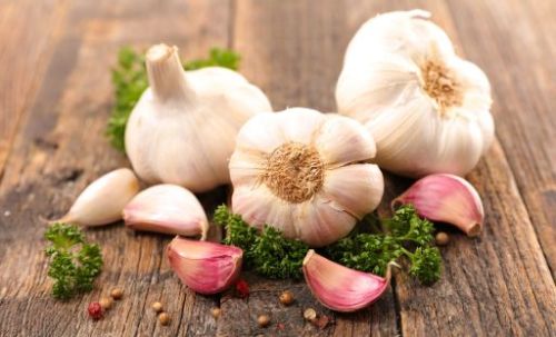 Fresh garlic, Color : Creamy for cooking