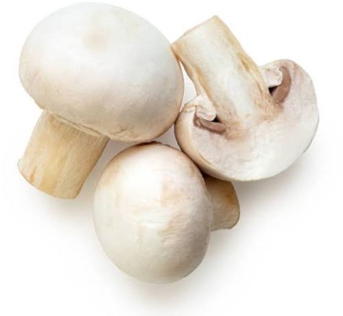 White Organic Button Mashroom, Packaging Size : 500g, 1Kg, 5Kg