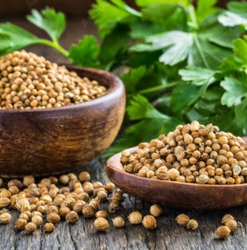 Coriander Seeds, Packaging Size : 25-50kg 9%