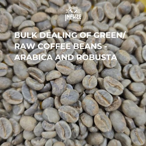 Premium Robusta Coffee Beans